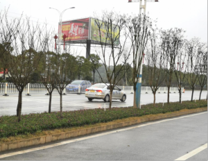 ũƷӹ,ʳչ,ϵֲ,ʡ388vip̫Ƽչ޹˾